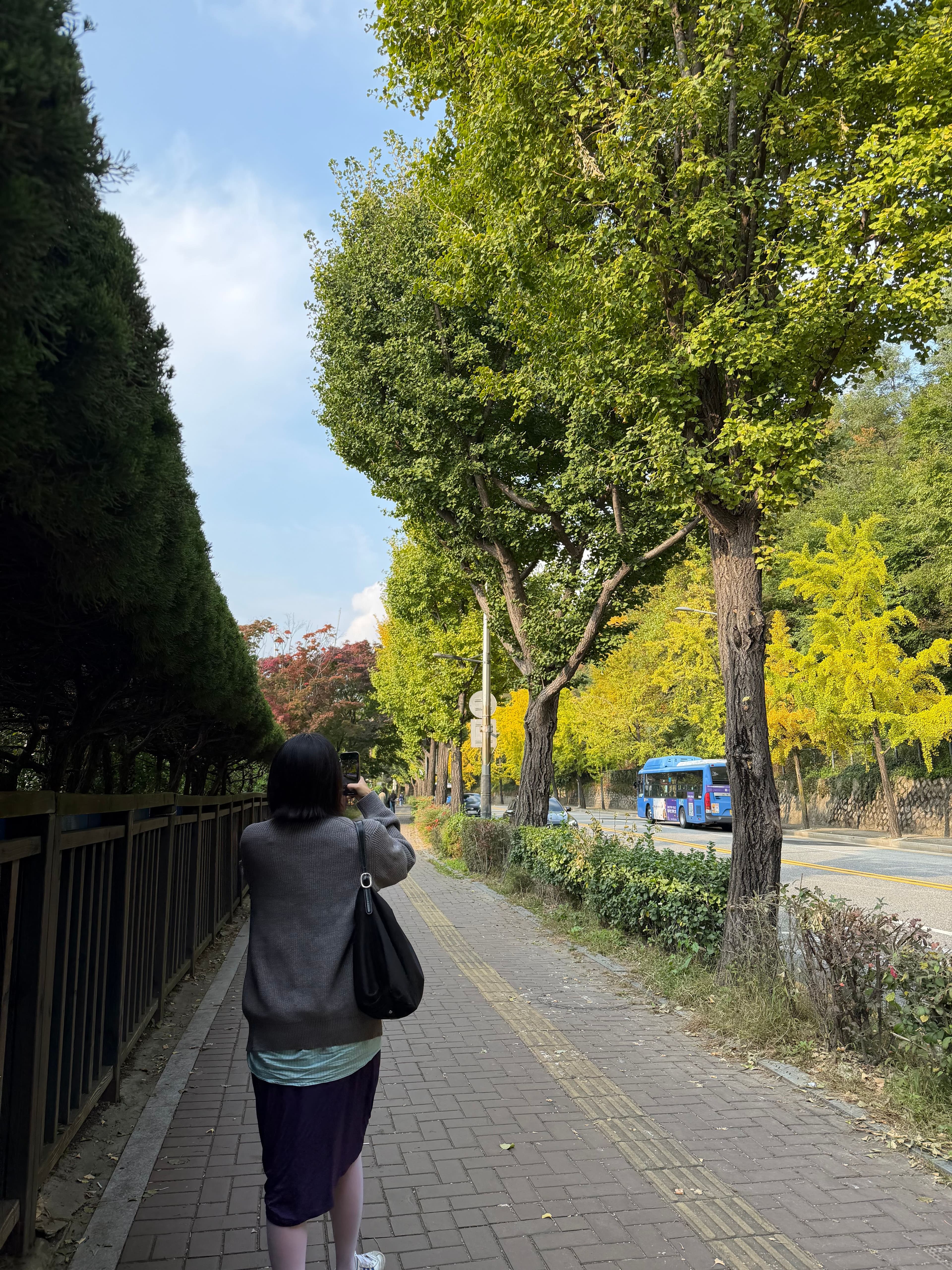 The walk to the library is filled with trees <3
(Ft. Yeonju in the pic)