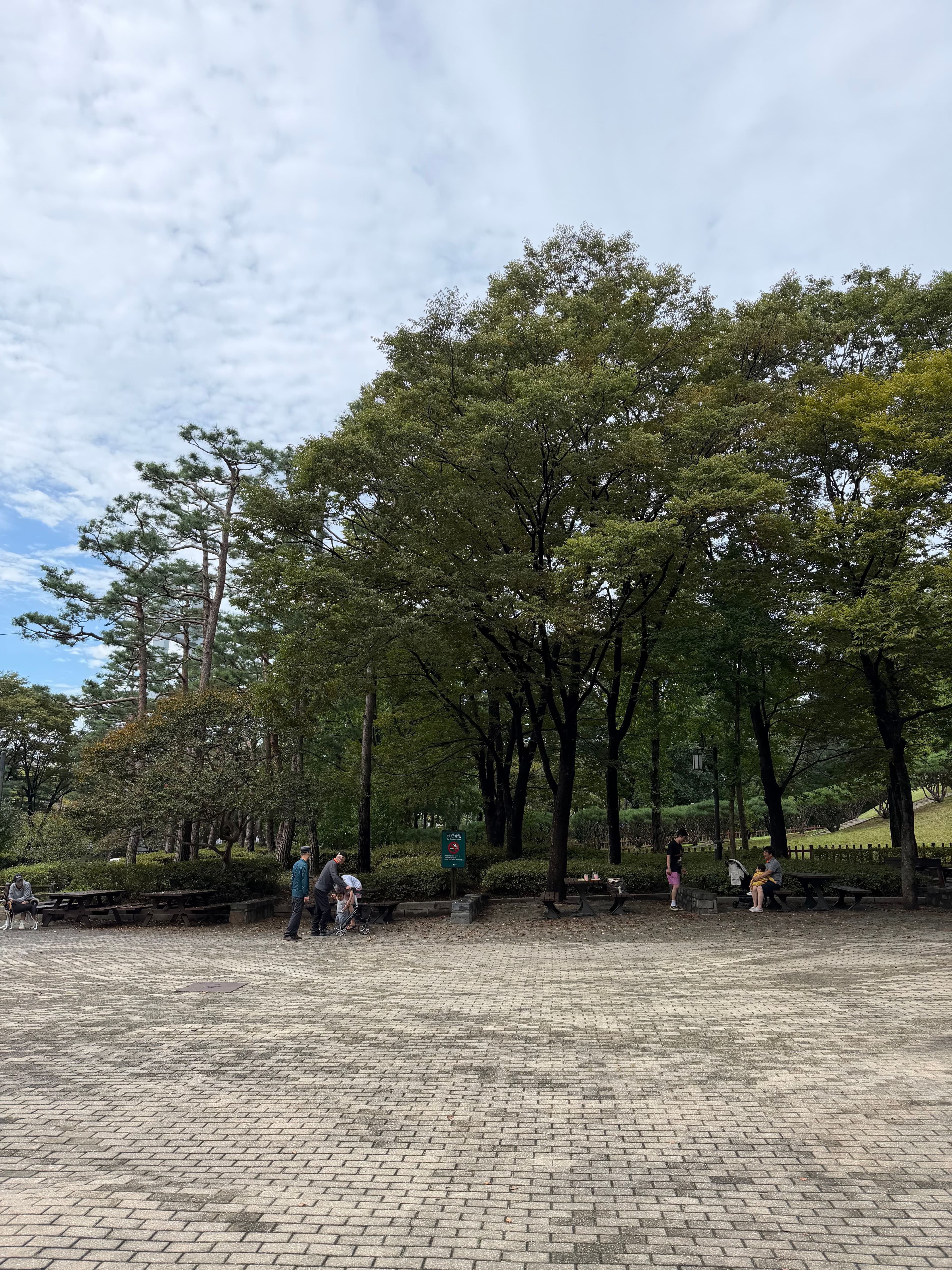 Benches are everywhere!