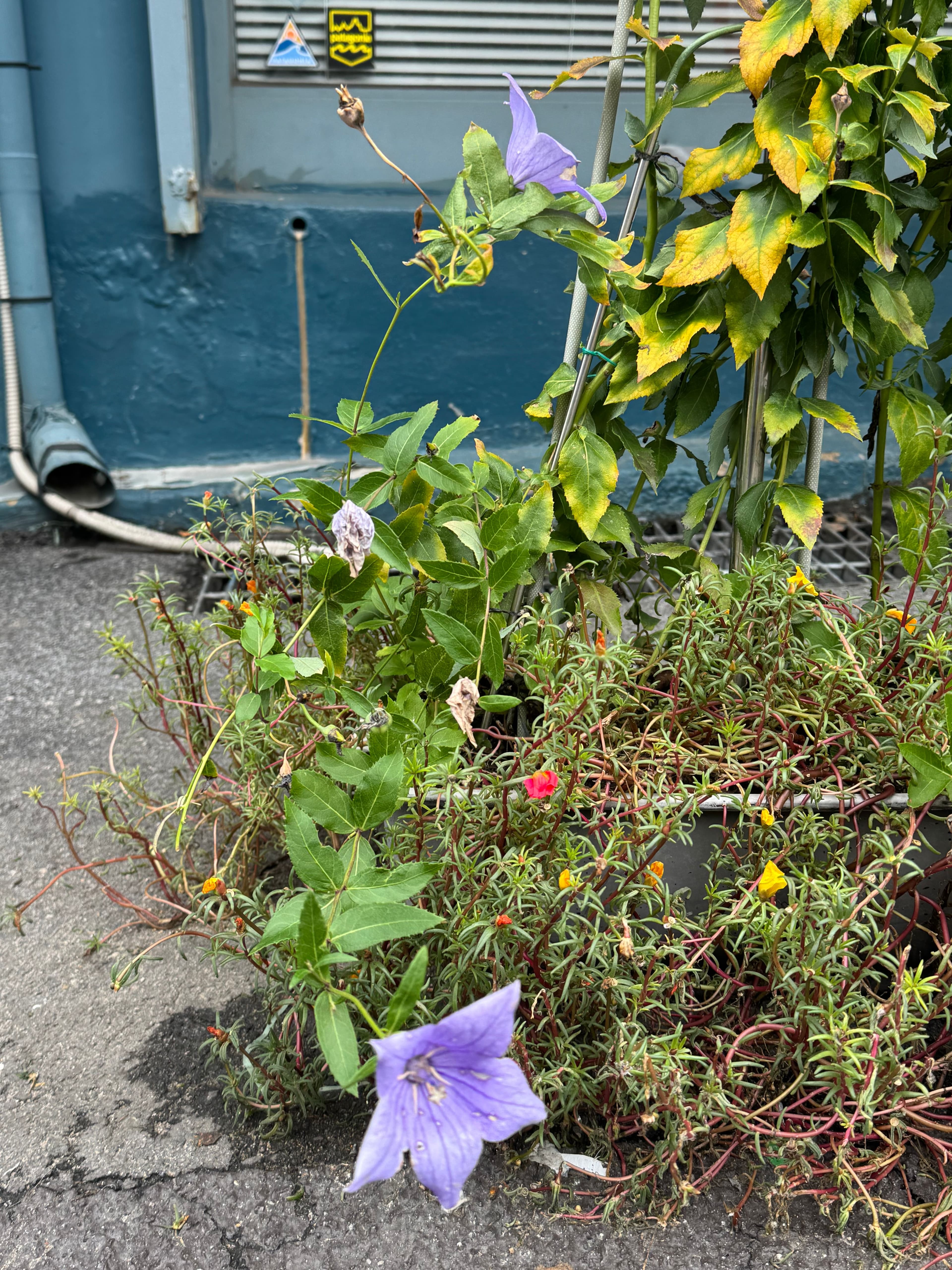 Autumn Days in Seoul: Favorite Cafe, Vintage Find, and Life as a Freelancer