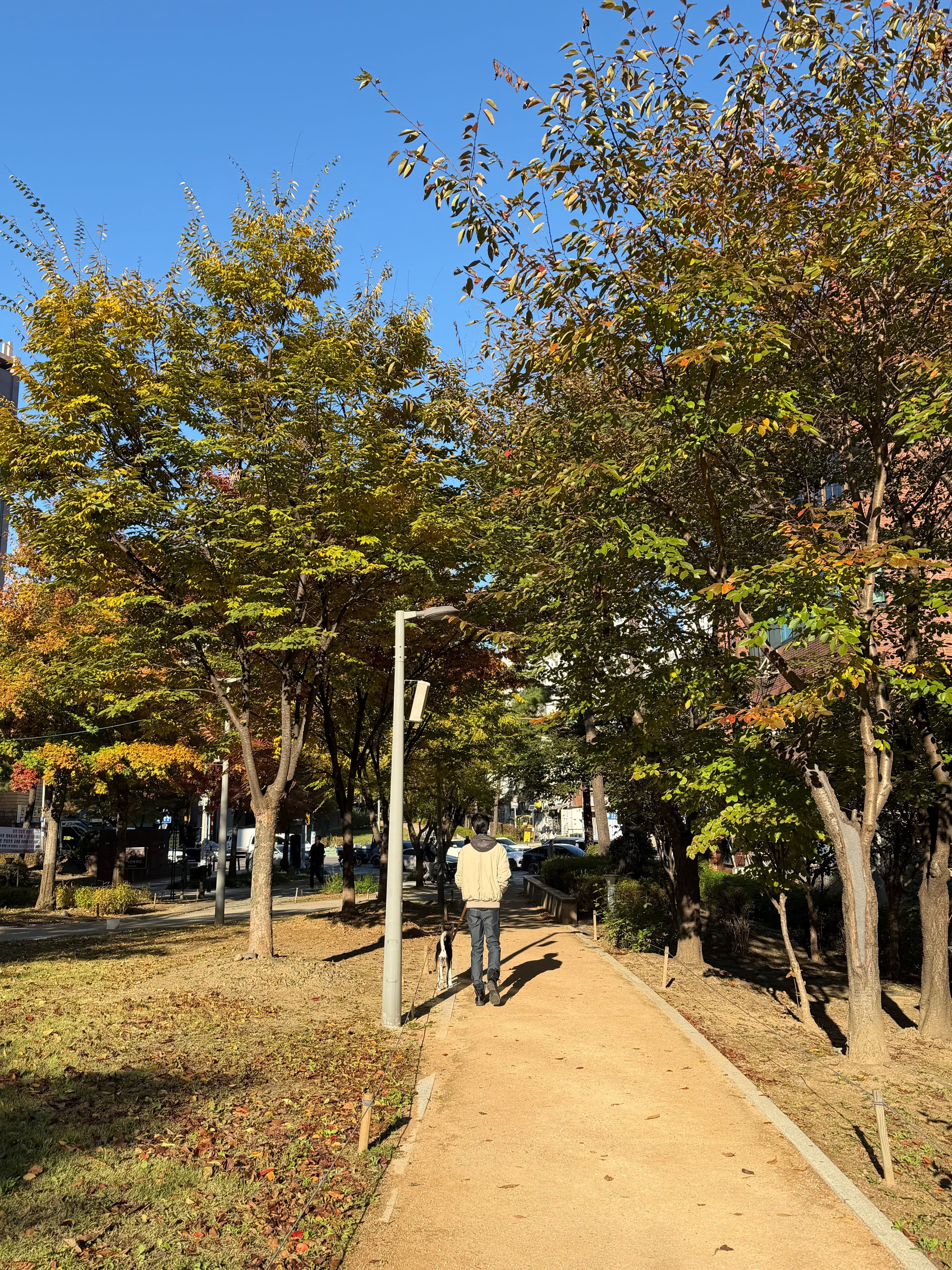 Seoul in Autumn