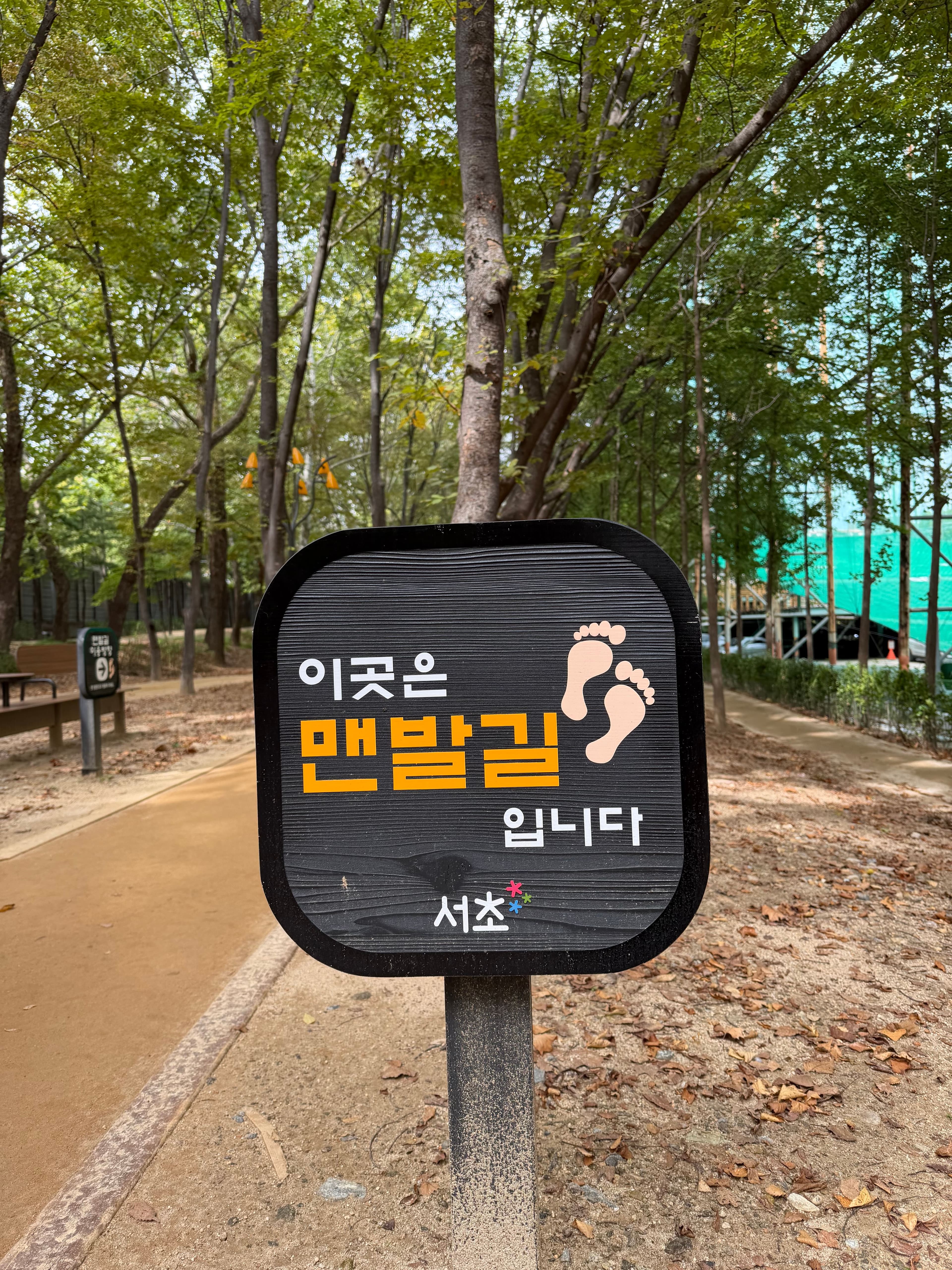 The Forest Trail in the Middle of Gangnam