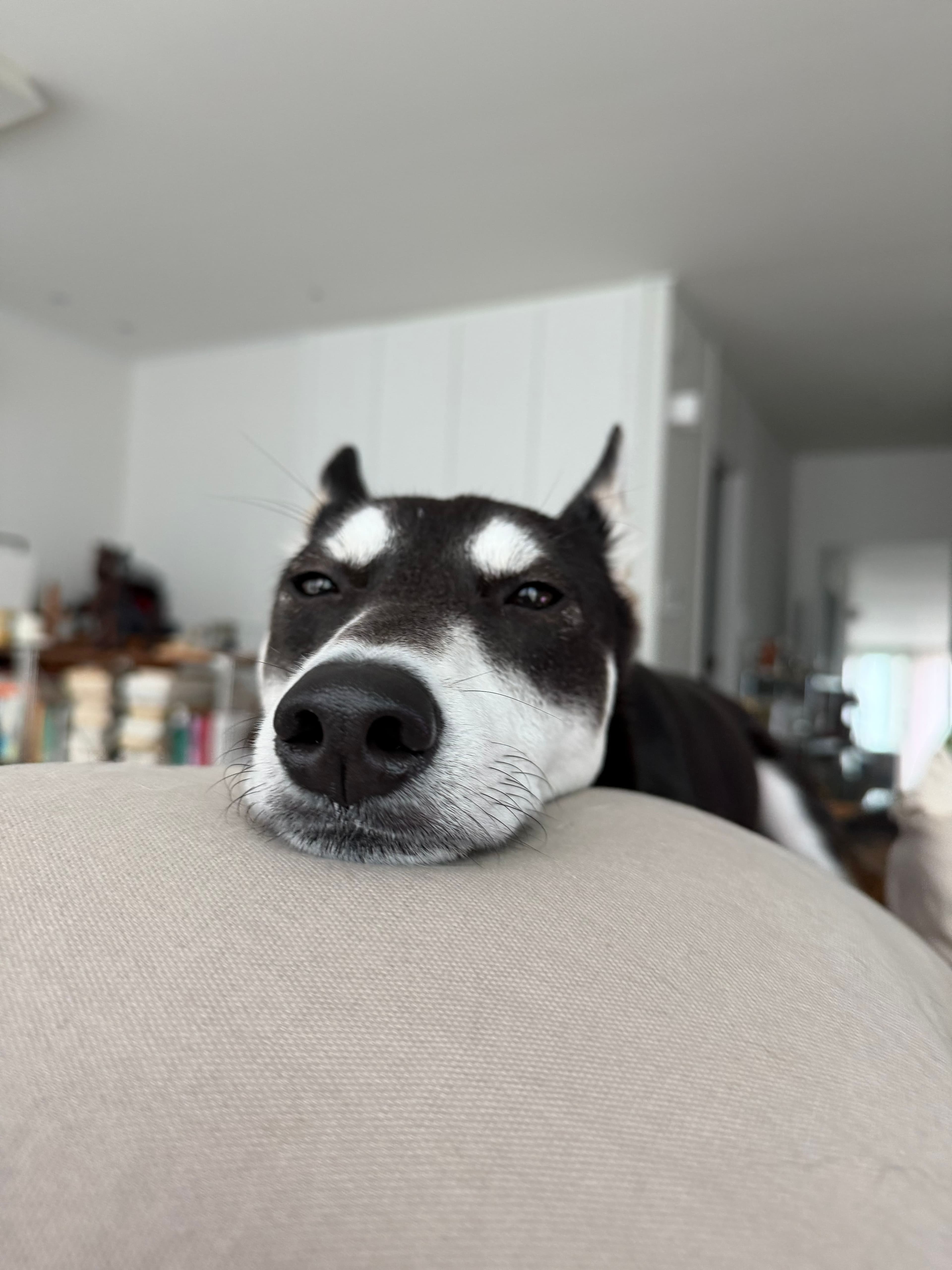 A random picture of Yiko to show off her beauty