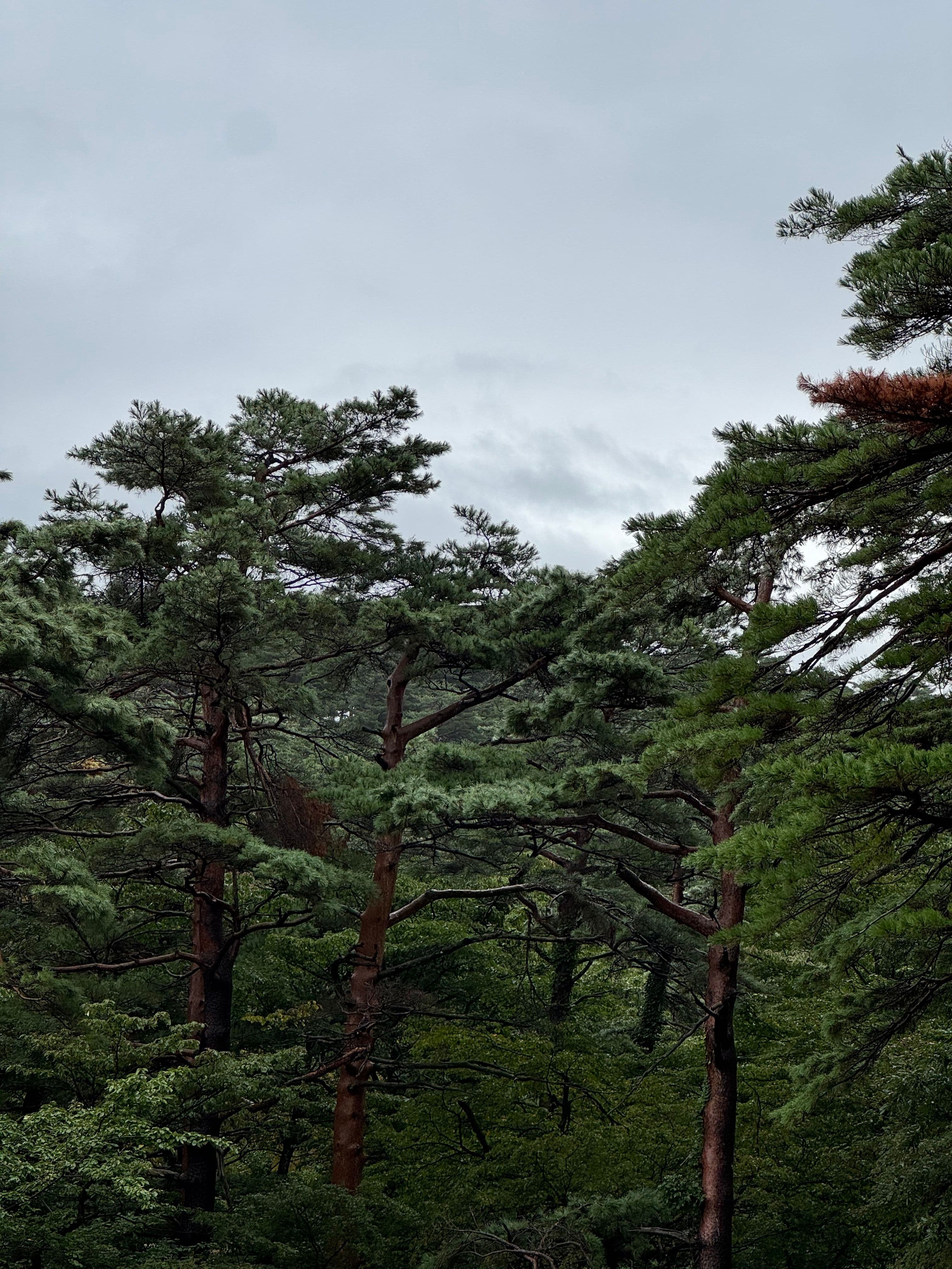 It kept raining all day.