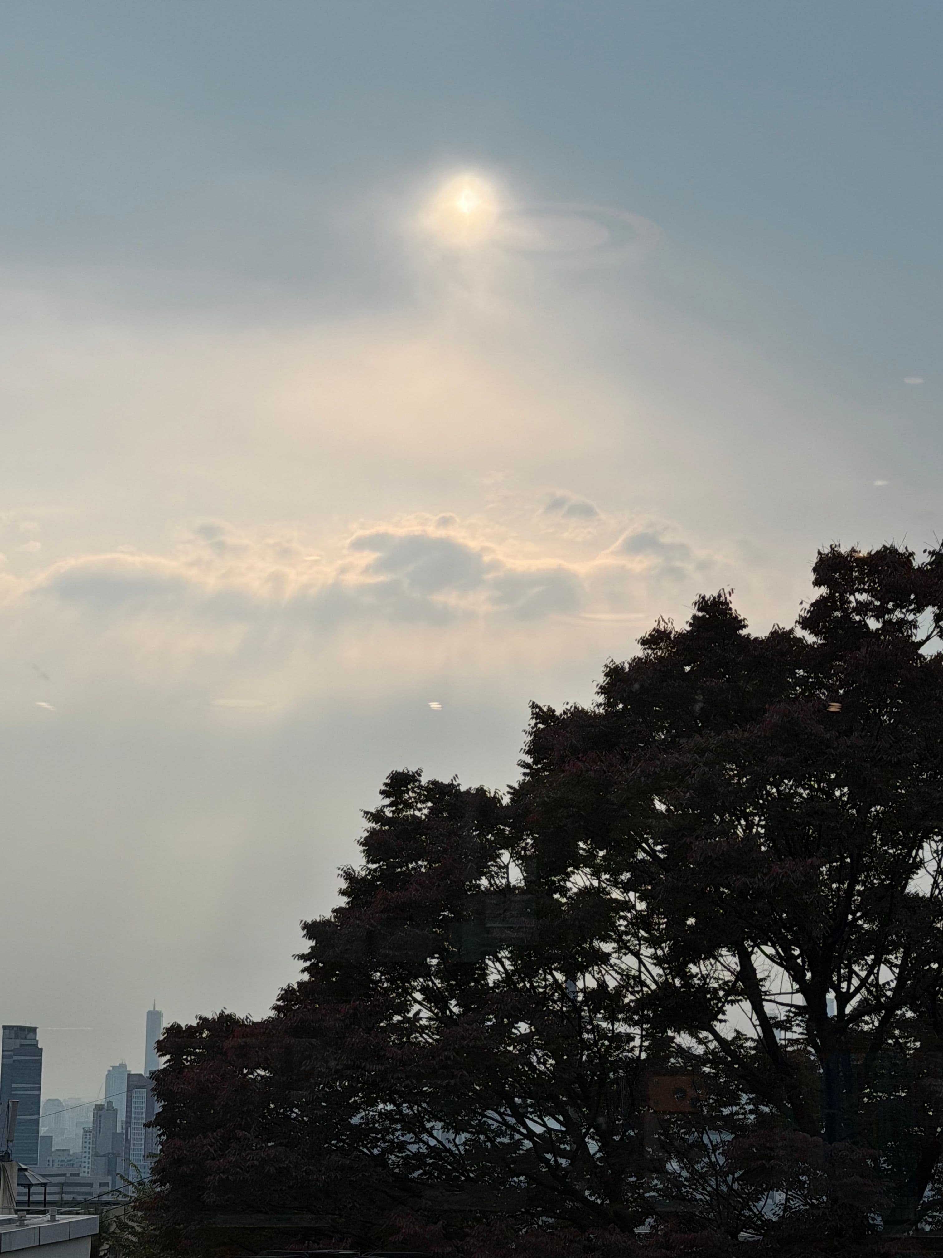 View from the library