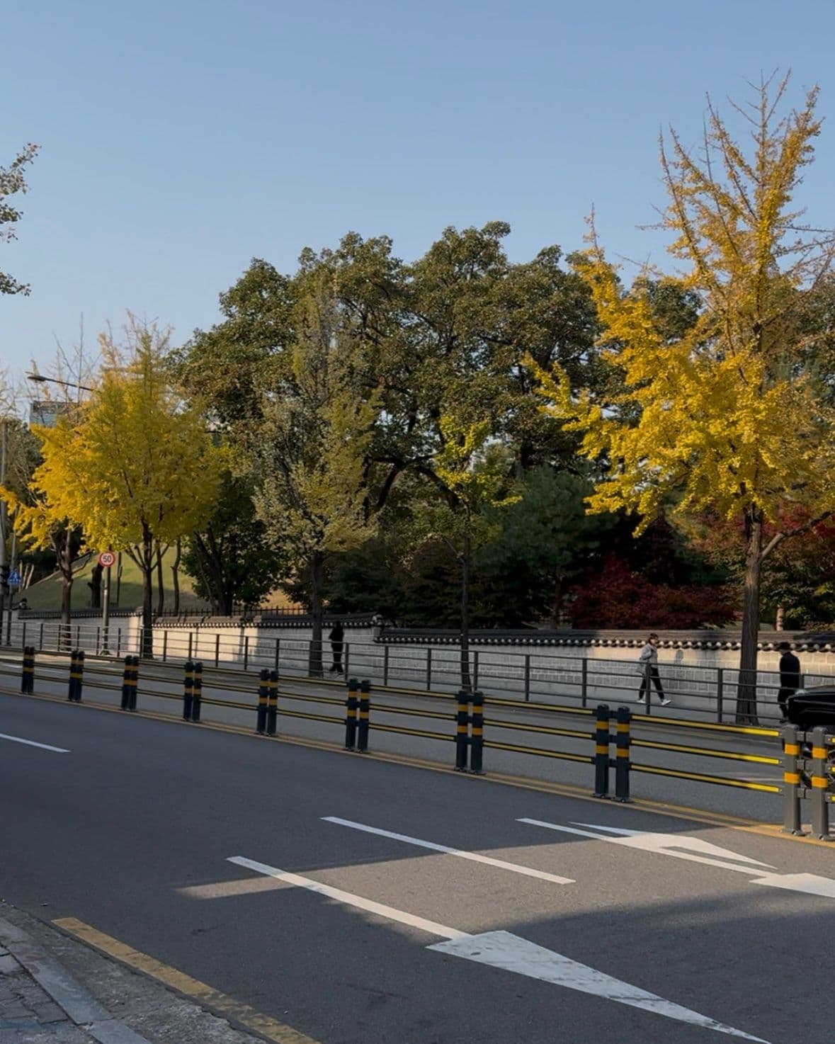 Beautiful weather.. colorful leaves. Too much good