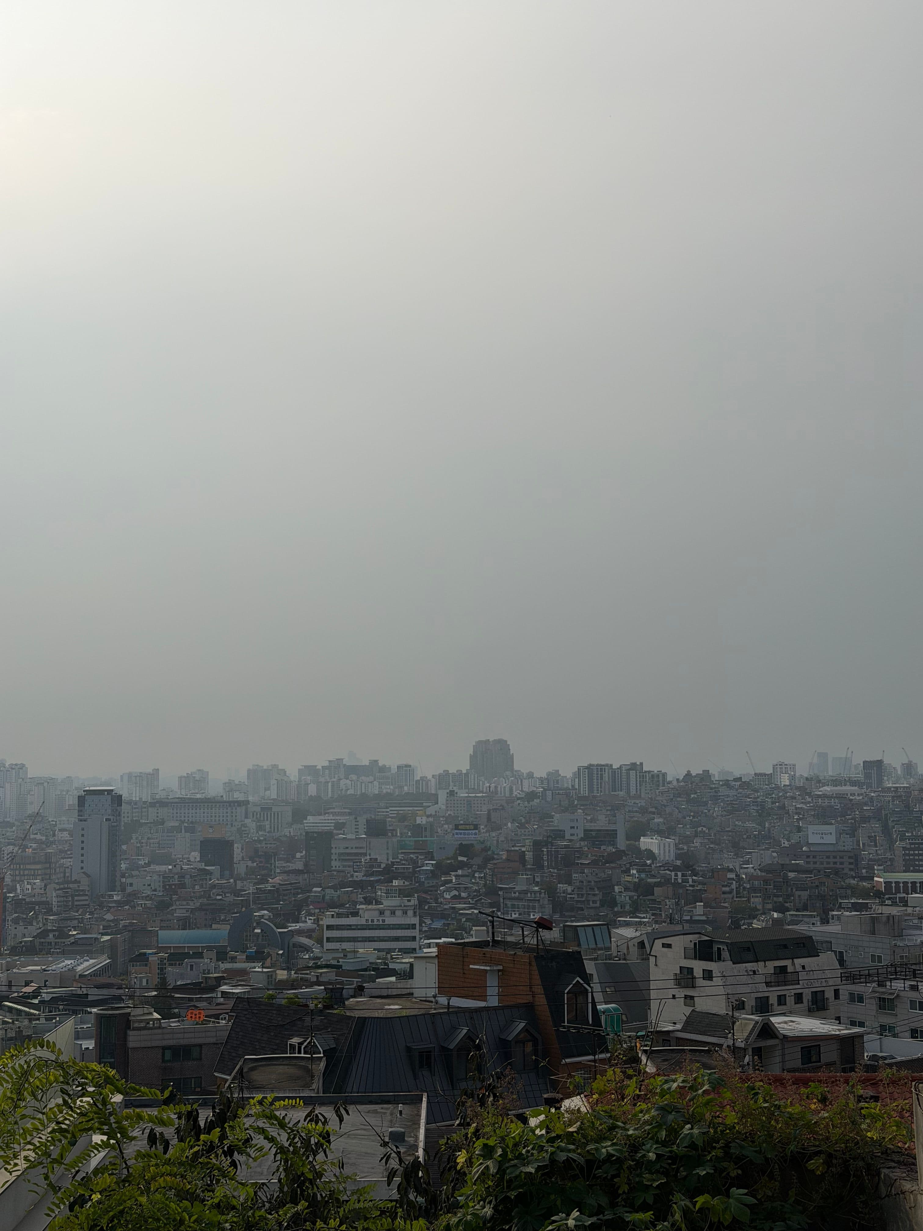 View from the library