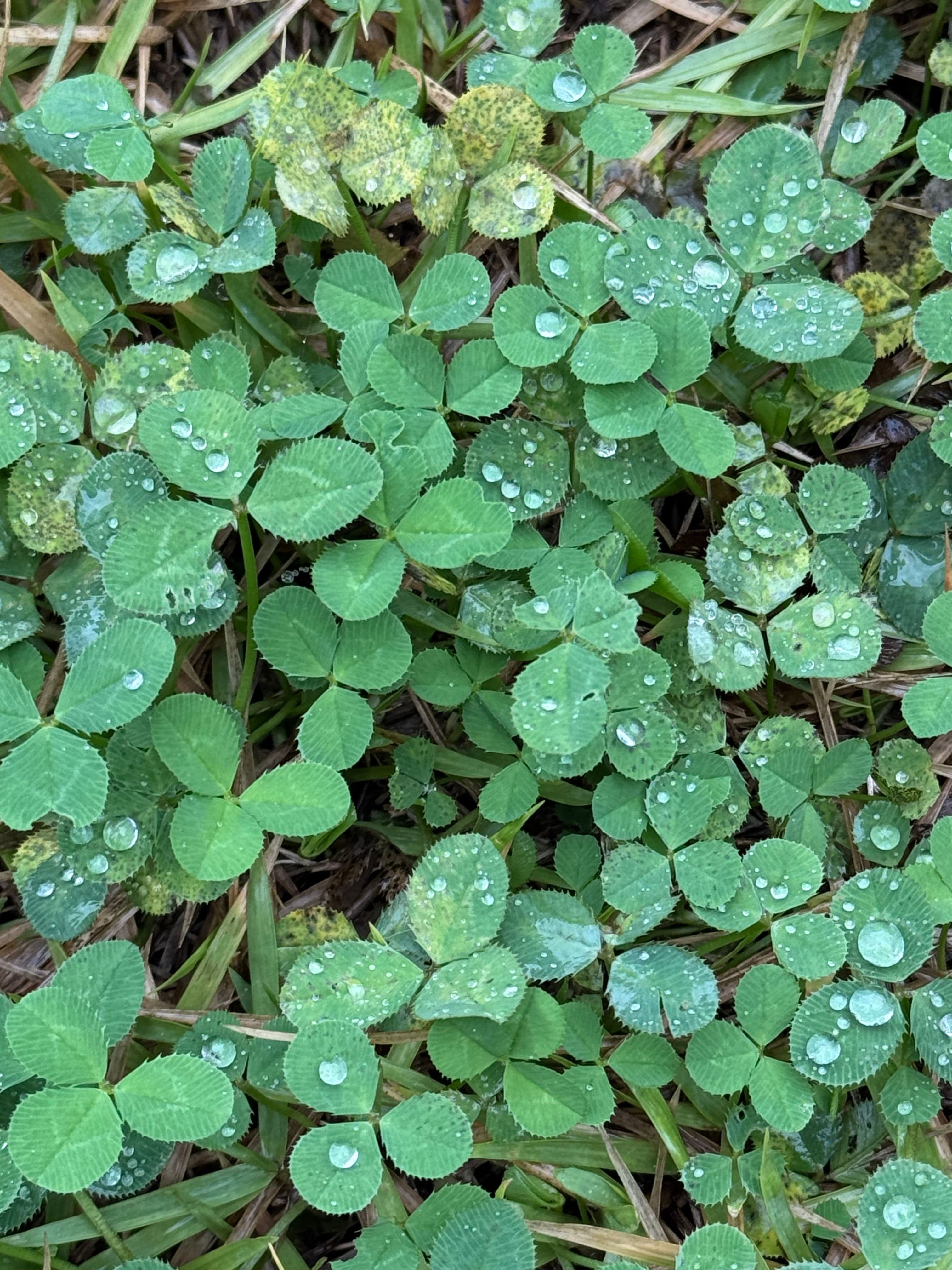 Chuseok started with a short trip to Gangneung