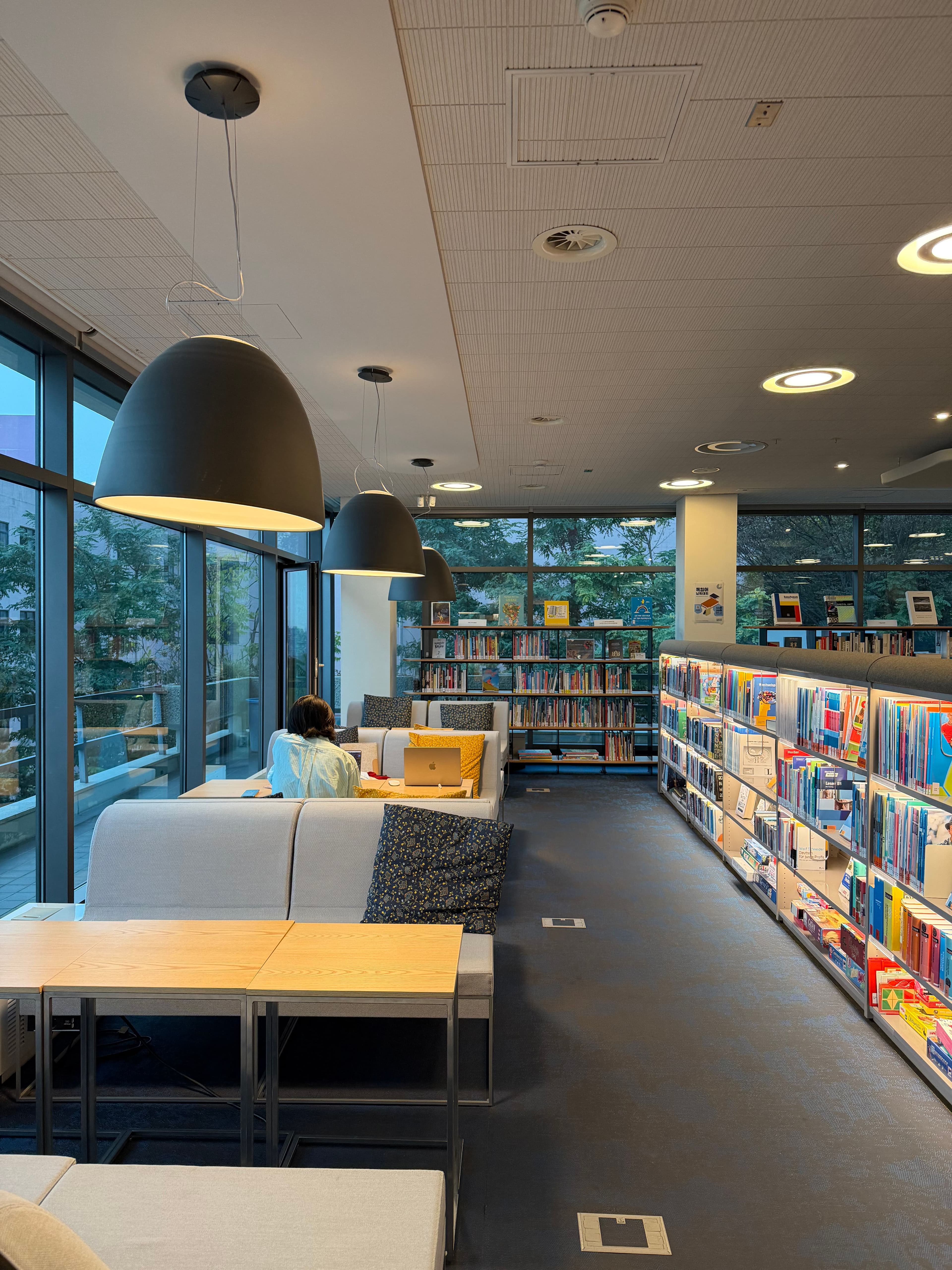 Working from Goethe Library