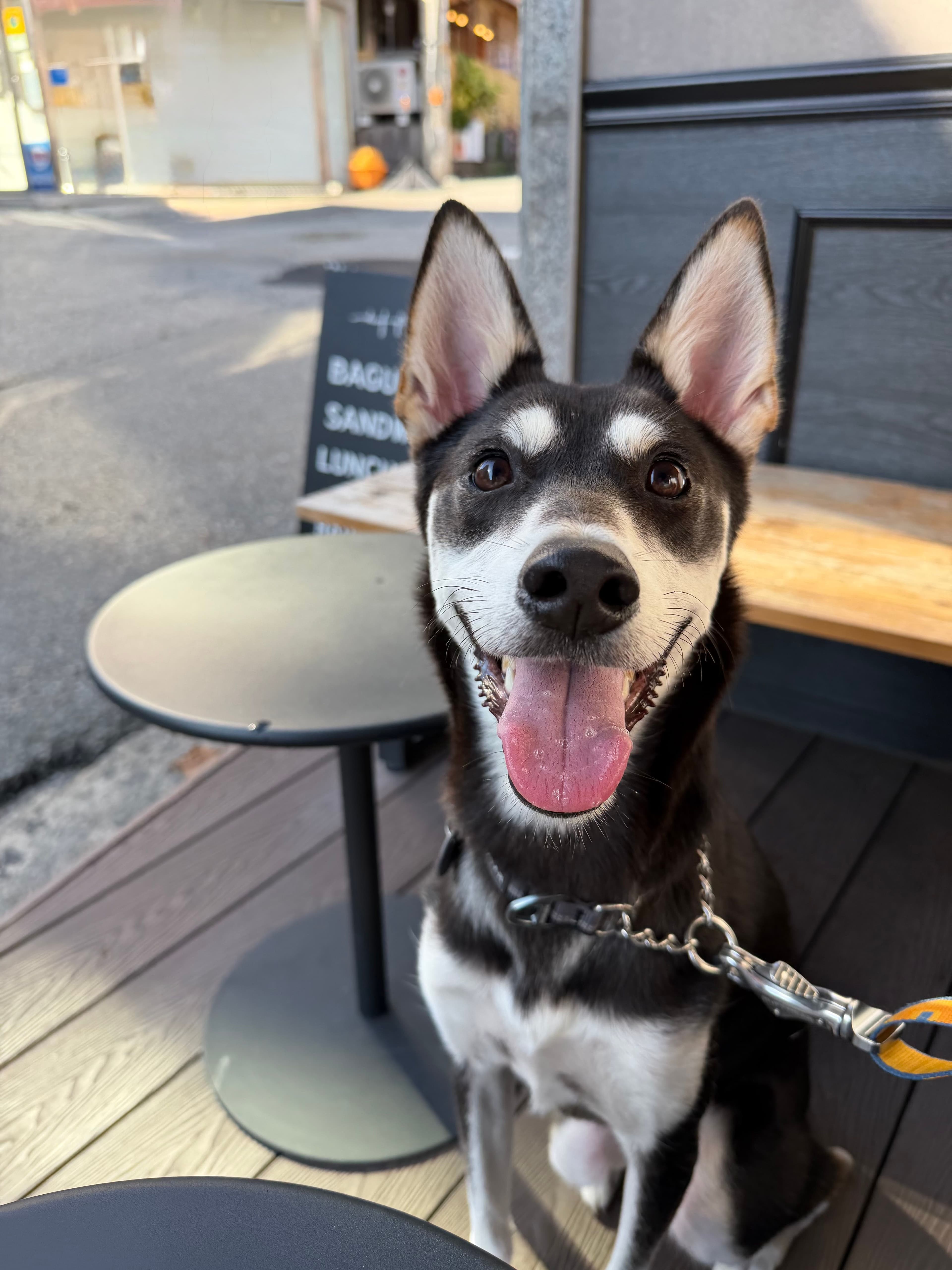 Yiko luuvvss fall too :3