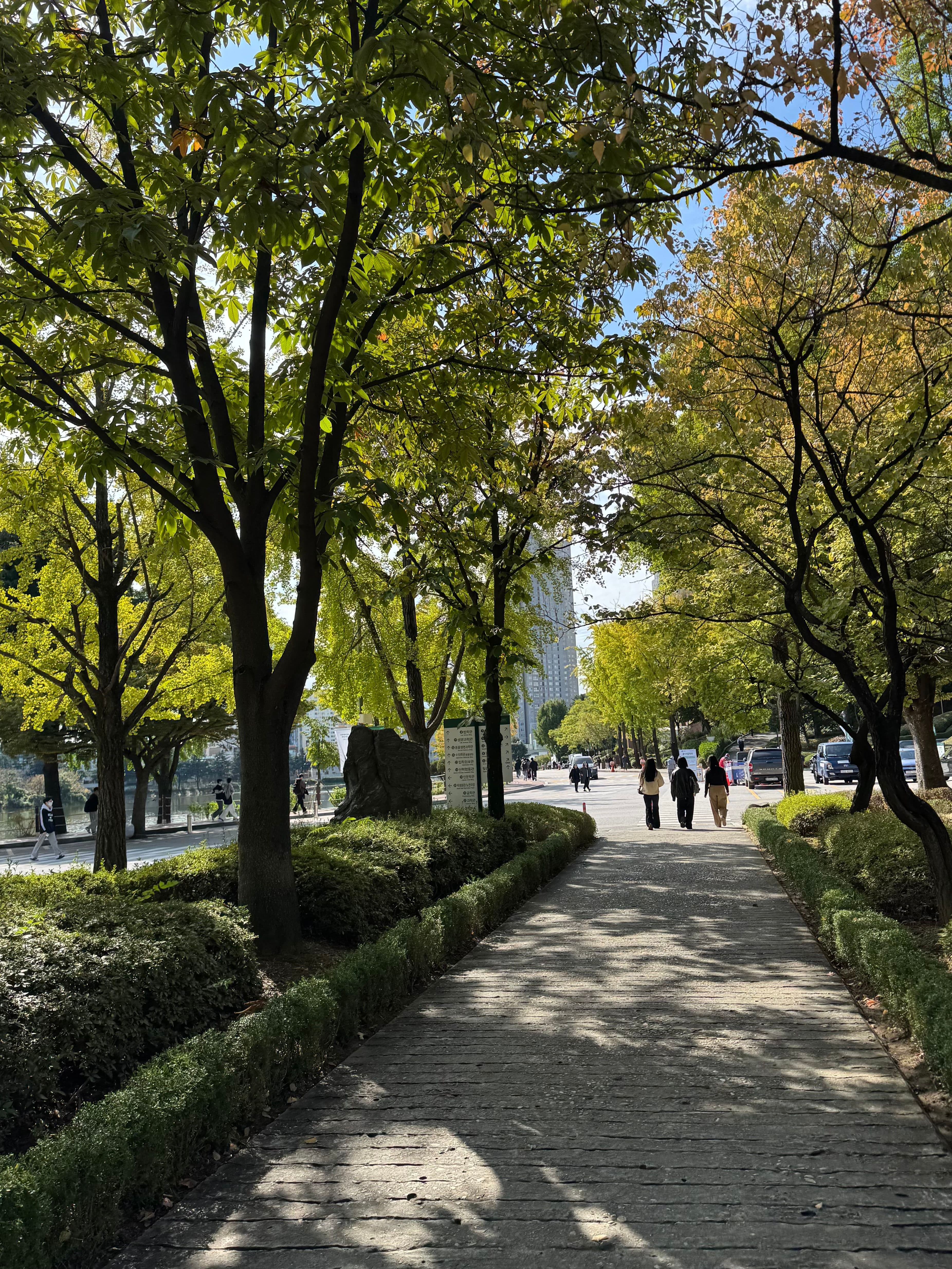 NEXT COMMERCE held at Konkuk University, Perfect fall weather