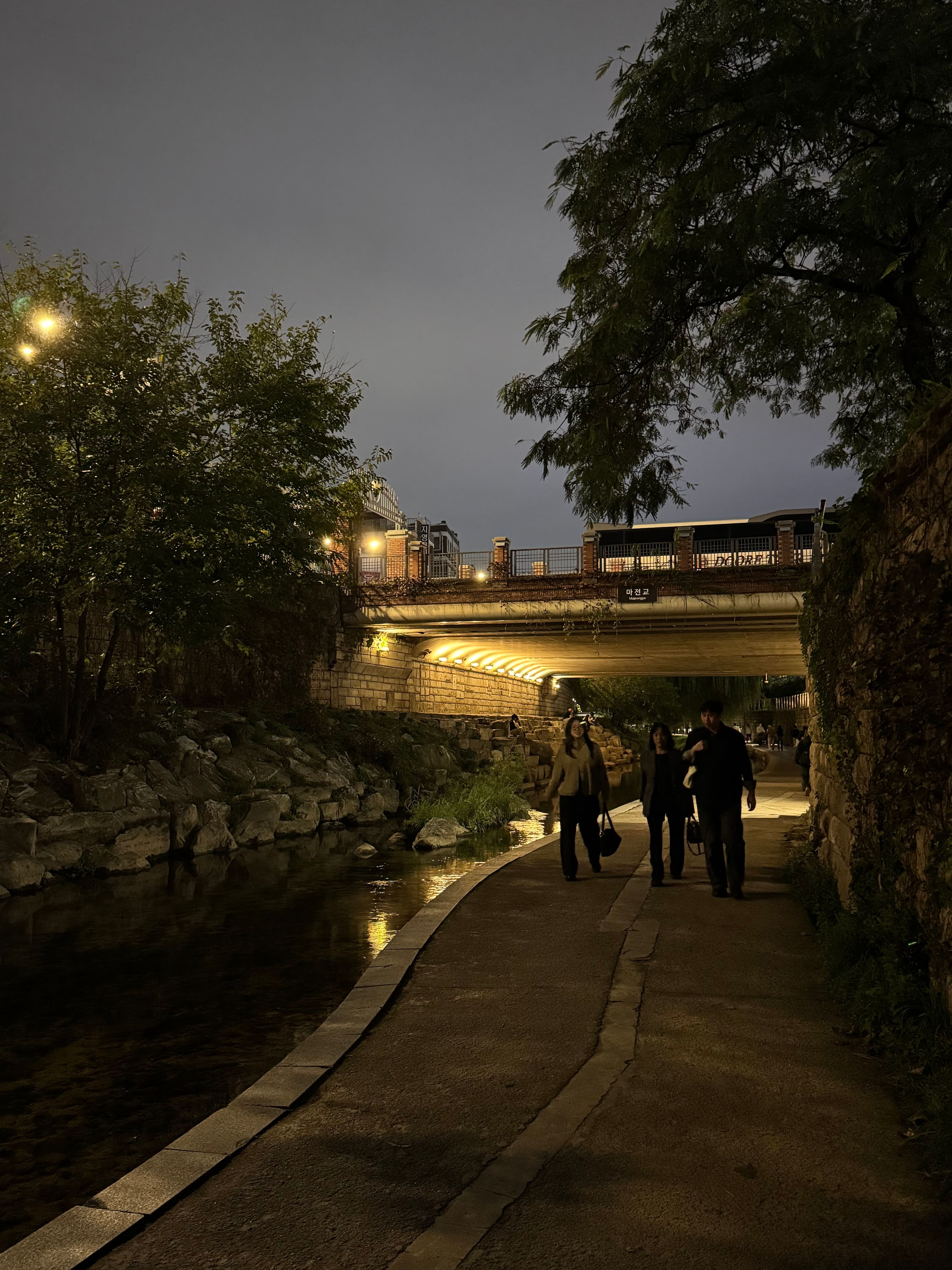 If you ever miss that feeling of sipping wine by the Seine in Paris, check out Cheonggyecheon on a crisp autumn day. 🍂 But sorry, it’s only the romantic vibe; eating there is forbidden.
