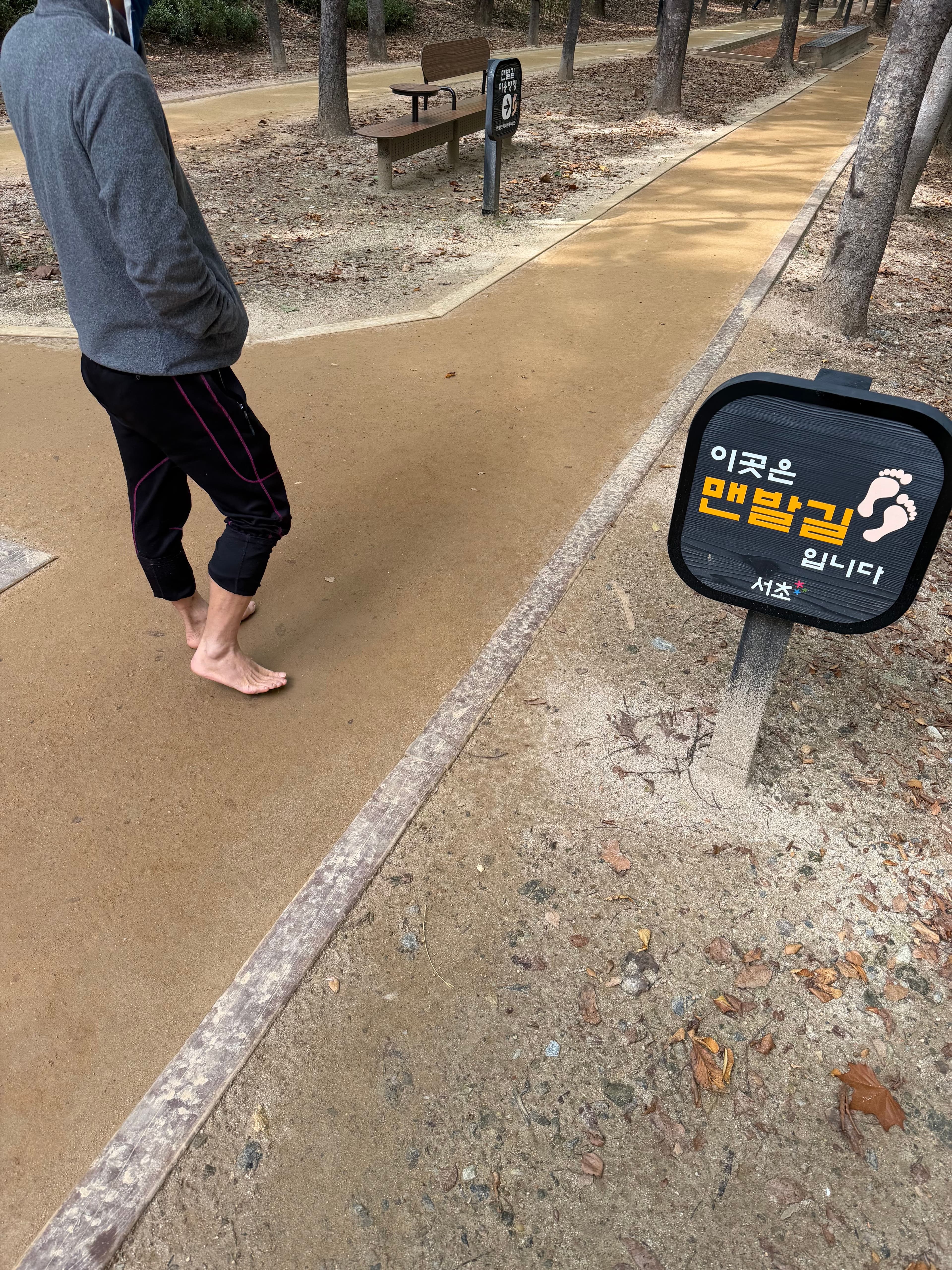 The Forest Trail in the Middle of Gangnam